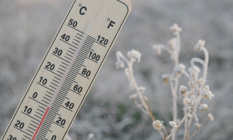 A picture of a temperature gauge in front of frosty grass